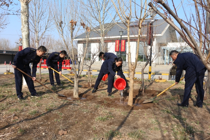 2024-3-12鄴城收費(fèi)站：站區(qū)綠植重規(guī)劃 春季移植美環(huán)境，作者：張晶玉
