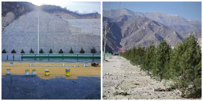 高質(zhì)施工，效果顯著